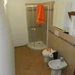 Agriturismo La Stradaccia Farm stay
