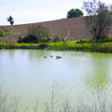 Agriturismo La Stradaccia Ginestreto