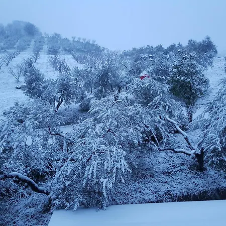 Agriturismo La Stradaccia Bauernhof *