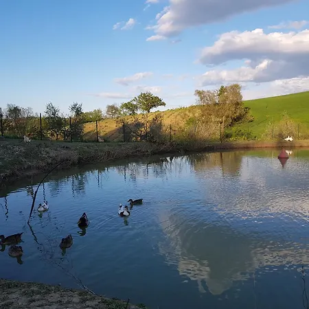 Bauernhof Agriturismo La Stradaccia Ginestreto