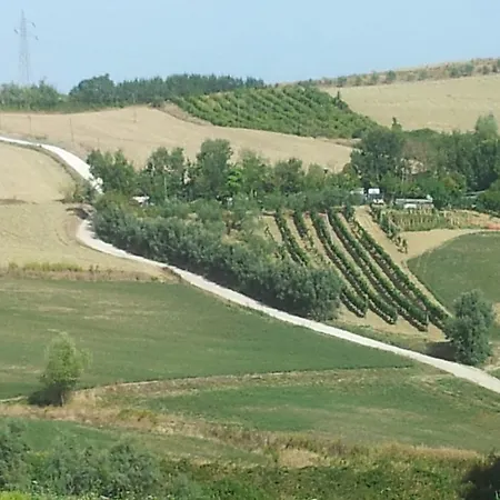 Agriturismo La Stradaccia Bauernhof Ginestreto