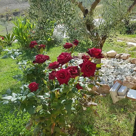 La Stradaccia * Ginestreto
