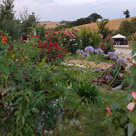 Agriturismo La Stradaccia Ginestreto